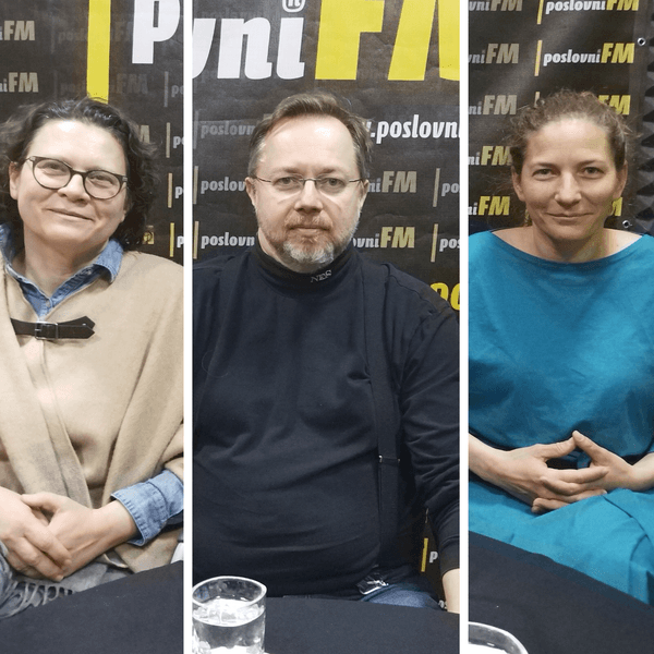 Ljiljana Mayer, Siniša Varga i Iva Kirac